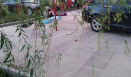 昭通公租房最新爆料,揭秘房源分配与申请流程